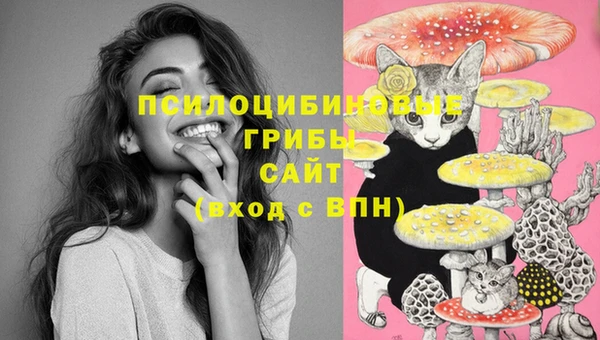 кокаин Арсеньев