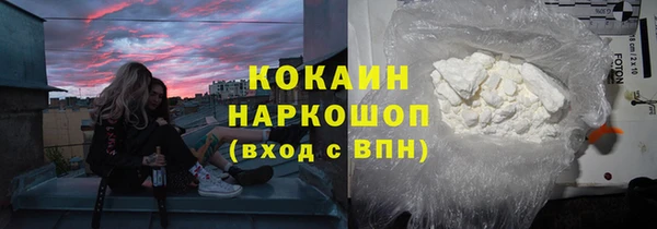 ГАЛЛЮЦИНОГЕННЫЕ ГРИБЫ Аркадак