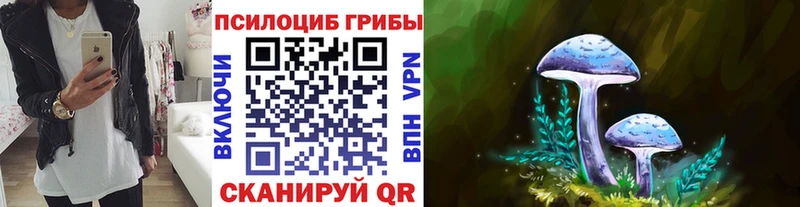 Галлюциногенные грибы MAGIC MUSHROOMS  Никольское 